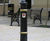 CAN 500 Cannon cast iron bollard 2