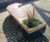 RailRoad planters with integrated seating 5