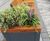Integrated seating & planters enhance shopping centre 5