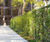 Seating, screens and signage for Christchurch Gardens 2