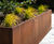 Large wavey corten steel planter beds for public space 0