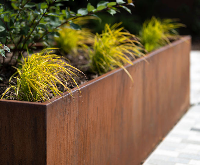 Large wavey corten steel planter beds for public space