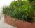 Seating and retaining planters for new pedestrianised area 7