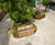 AKRI® 300 - raised planter beds with bench seating 0