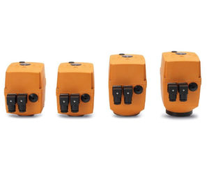 Type EA25-250 electric actuators