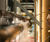 COOL-FIT piping system for Australian wine production 0