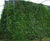 ECOSoundBlok - living green noise barrier for landscaping 5