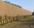 ECOSoundBlok - living green noise barrier for landscaping 3