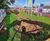 SFA headwalls and outfall safety grilles - Barratt Homes 3