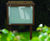 Oak outdoor noticeboards 5