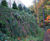 Geoweb® - vegetated retaining wall system 1