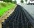 Geoweb® - HDPE geocell vegetated verge protection 0