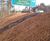 Geocoir™ - coir fibre erosion control matting for slopes and embankments 3
