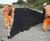 Geoweb® Rail - Case Study Borders Rail, Galashiels 2