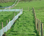 Greenfix Newt Barrier - green polyethylene wildlife protection fencing