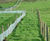 Greenfix Newt Barrier - green polyethylene wildlife protection fencing 0