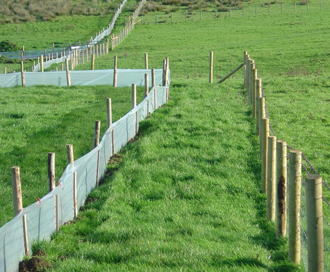 Greenfix Newt Barrier - green polyethylene wildlife protection fencing