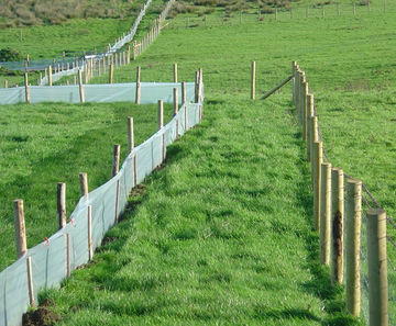 Greenfix Newt Barrier - green polyethylene wildlife protection fencing