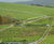 Greenfix Newt Barrier - green polyethylene wildlife protection fencing 2
