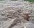 River Mat RM100 - biodegradable burlap sediment mat for river channels 0