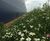Covamat Fresh - pre-seeded soil erosion control blanket for slopes 3