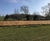 Pre-seeded erosion control for River Stour 0