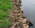 Rock Rolls - rock-filled netting for riverbank & shoreline erosion control 2