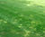 Greenfix grass seed mixtures 2
