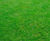 Greenfix grass seed mixtures 1