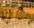 Greenfix Mulchmat and Mulchspats  3