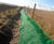 Green Mat 200 - UV-stable polypropylene turf reinforcement mat 1