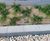 Greenfix Mulchmat and Mulchspats  1