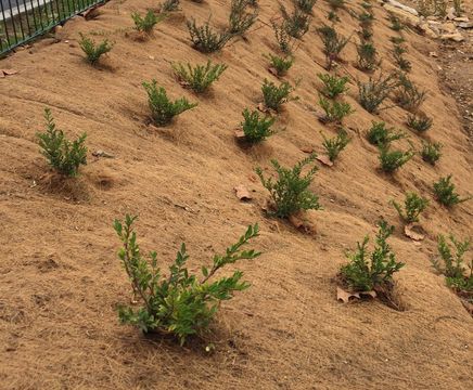 Greenfix Mulchmat and Mulchspats 