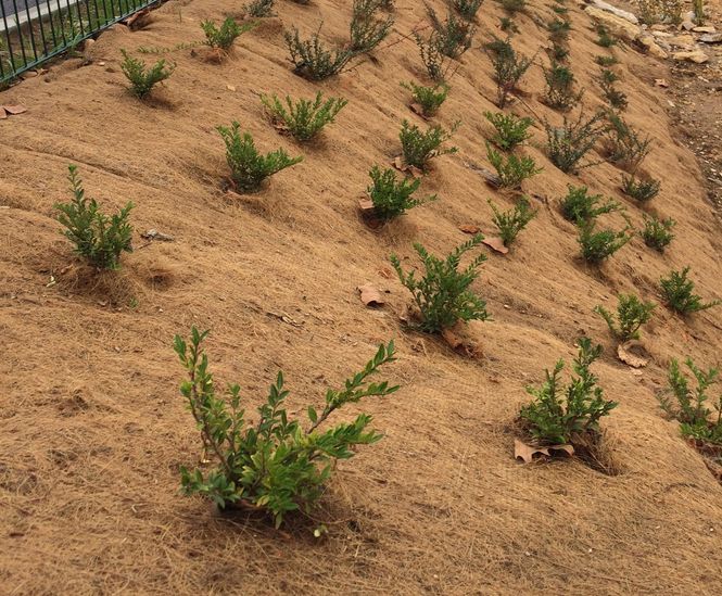 Greenfix Mulchmat and Mulchspats 
