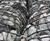 Rock Rolls - rock-filled netting for riverbank & shoreline erosion control 4