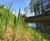 Covamat™ Plus and F3 - pre-seeded erosion control blankets 2