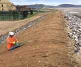 Eromat - unseeded straw / coir erosion control blanket for slopes and banks - on this page