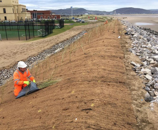 Eromat - unseeded straw / coir erosion control blanket for slopes and banks