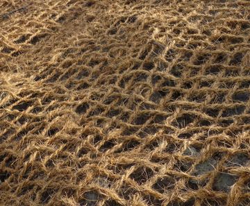 Geocoir™ - coir fibre erosion control matting for slopes and embankments