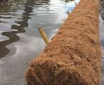 Coir rolls - natural coconut fibre erosion control for riverbanks and ponds
