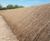 Erosion control for a steep sloped bund in Warwickshire 2