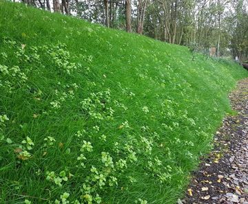 Erosion control for a steep sloped bund in Warwickshire