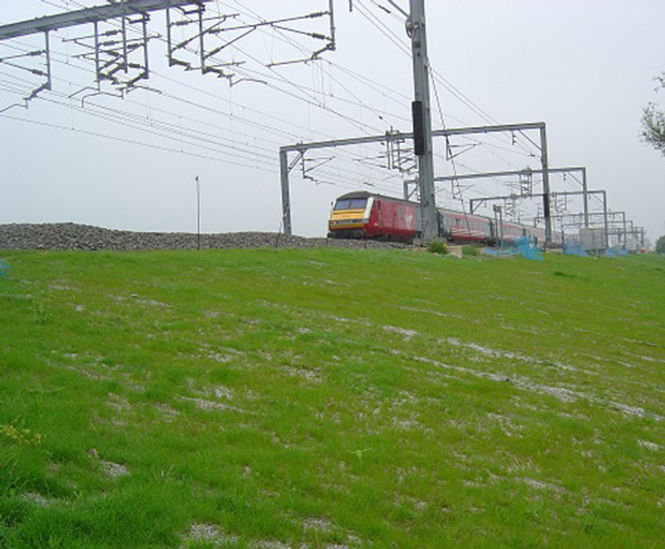 F3 fire-retardant erosion control