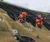 Greenfix solutions for Scarborough slope stabilisation 0