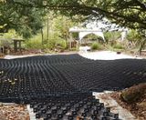 Geoweb® system protects tree roots at Westonbirt Arboretum - on this page