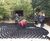 Geoweb® system protects tree roots at Westonbirt Arboretum 2