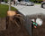 Tree root guiding panels 0