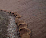 Rabbit Mat R - anti-burrowing steel mesh erosion control mat for slopes
