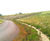 Rabbit Mat R - anti-burrowing steel mesh erosion control mat for slopes 1