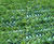 GGR - lightweight to heavy-duty plastic grass reinforcement mesh range 2